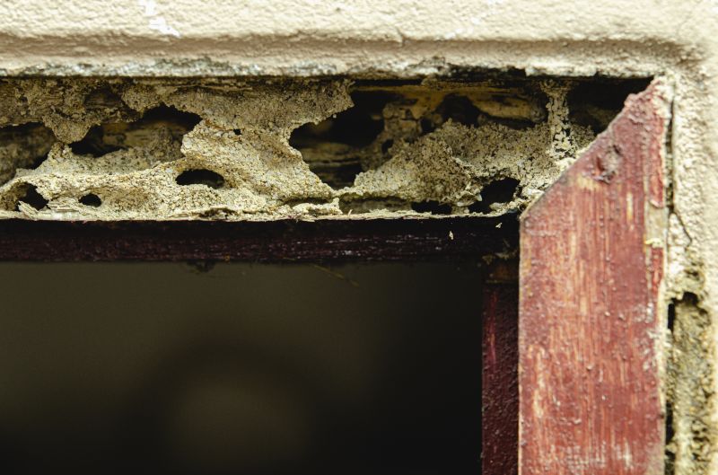 Damaged Framing Replacement in Conroe, TX